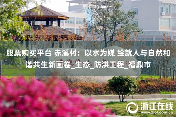 股票购买平台 赤溪村：以水为媒 绘就人与自然和谐共生新画卷_生态_防洪工程_福鼎市