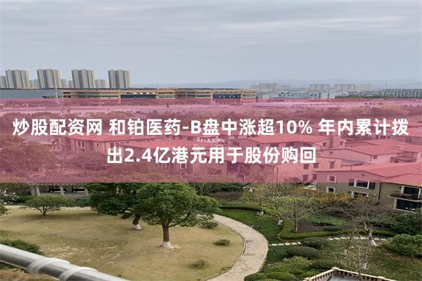 炒股配资网 和铂医药-B盘中涨超10% 年内累计拨出2.4亿港元用于股份购回
