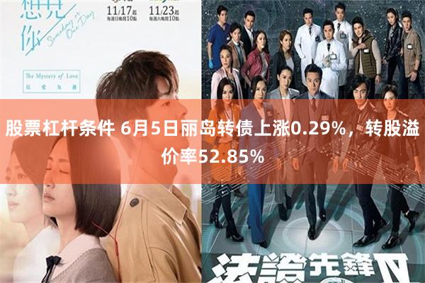 股票杠杆条件 6月5日丽岛转债上涨0.29%，转股溢价率52.85%