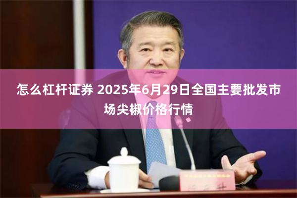 怎么杠杆证券 2025年6月29日全国主要批发市场尖椒价格行情