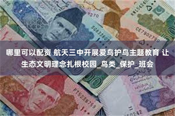哪里可以配资 航天三中开展爱鸟护鸟主题教育 让生态文明理念扎根校园_鸟类_保护_班会