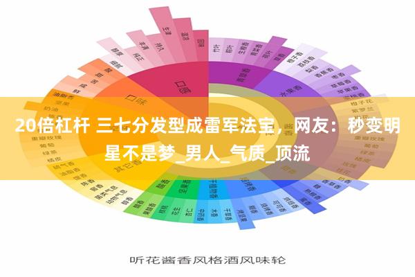 20倍杠杆 三七分发型成雷军法宝，网友：秒变明星不是梦_男人_气质_顶流