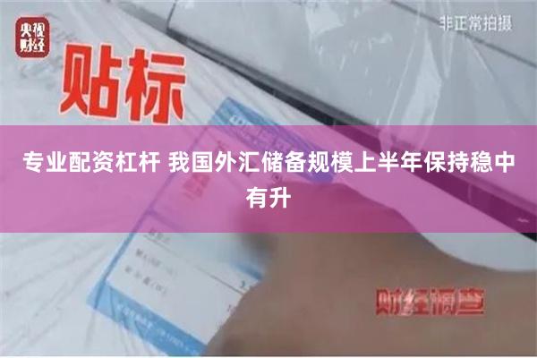 专业配资杠杆 我国外汇储备规模上半年保持稳中有升
