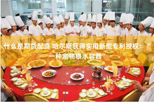 什么是期货配资 哈尔斯获得实用新型专利授权：“一种宠物喂水容器”