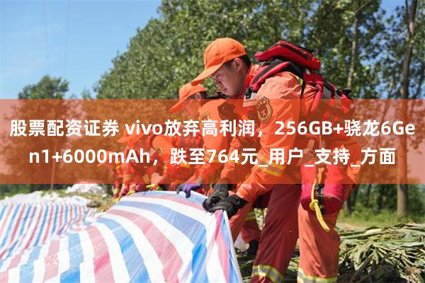 股票配资证券 vivo放弃高利润，256GB+骁龙6Gen1+6000mAh，跌至764元_用户_支持_方面