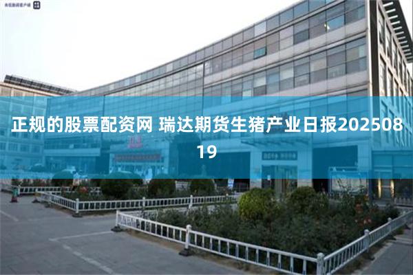 正规的股票配资网 瑞达期货生猪产业日报20250819