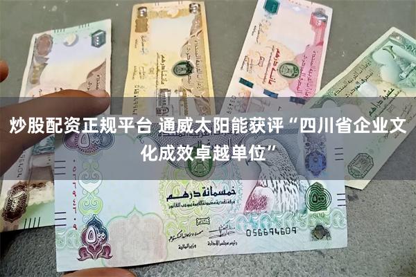 炒股配资正规平台 通威太阳能获评“四川省企业文化成效卓越单位”